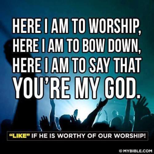 pQFwHWMFODyD4R8llLr2-Q