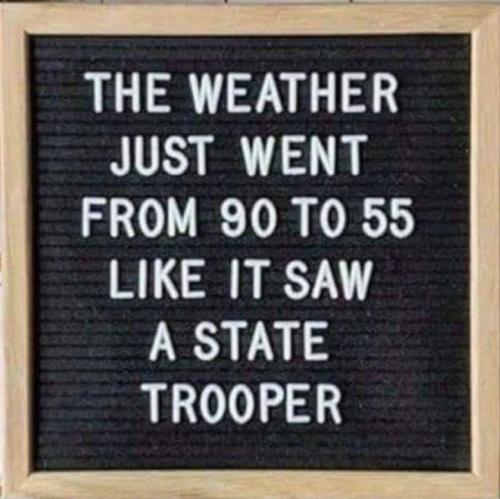 308653387_5401824483272311_1031759996403410553_n