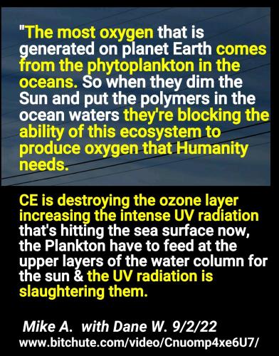 Screenshot_2022-09-03-09-32-30-058_cn.wps.moffice_eng