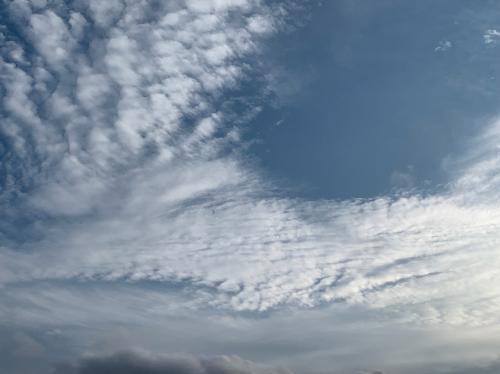 203B1BBA-068B-49AF-94D4-2A874DE40793