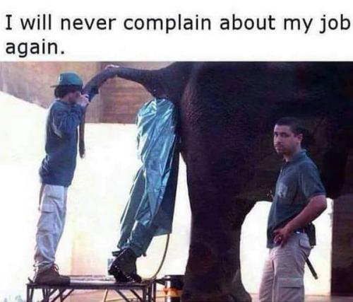 311983392_165786389433897_614325748272509629_n