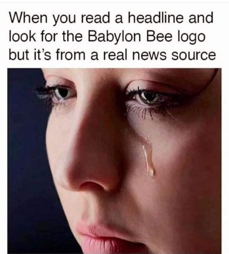 FB_IMG_1665873518074