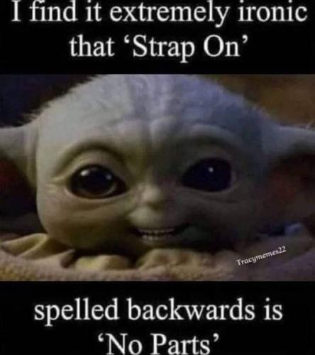 tumblr_a4ac0a20e6b3f9e708a24f01a7d08ab2_45a3f7df_540