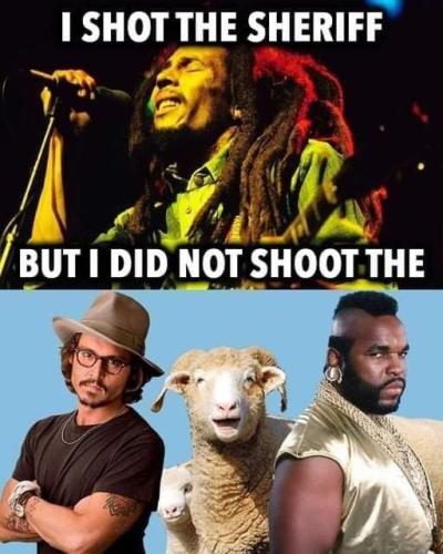 FB_IMG_1665420475845