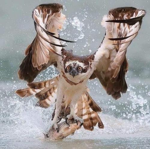 311865055_8475529269131606_9190895705789240655_n