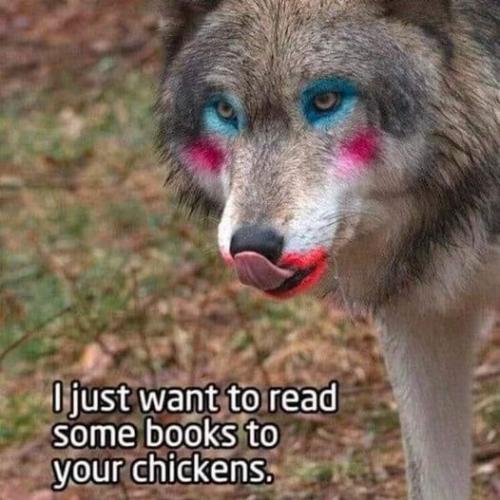 312922536_486777533490670_8263775461643753250_n