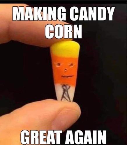 FB_IMG_1664681906292