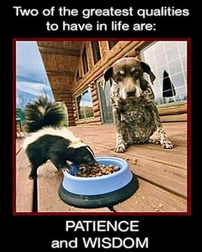 FB_IMG_1666467141950
