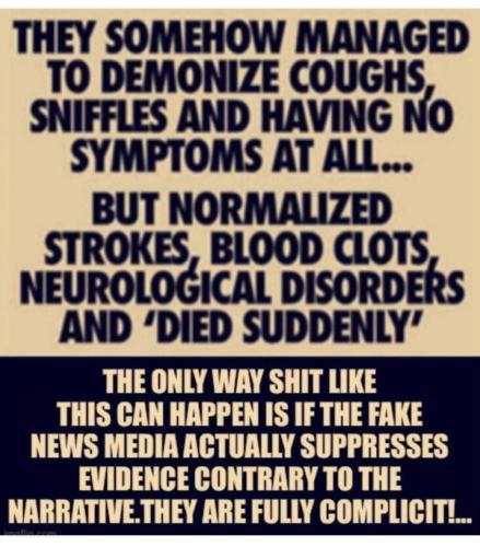 FB_IMG_1666966898222