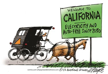 payn_c19345120220927120100-375x275