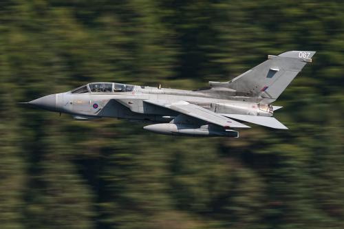 310381630_175906918346219_73808334752216203_n