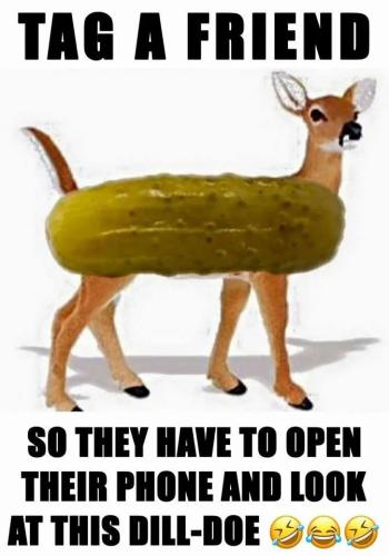 FB_IMG_1665618544717