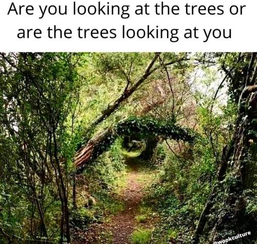 Screenshot_2022-10-26-14-06-17-55_1c337646f29875672b5a61192b9010f9