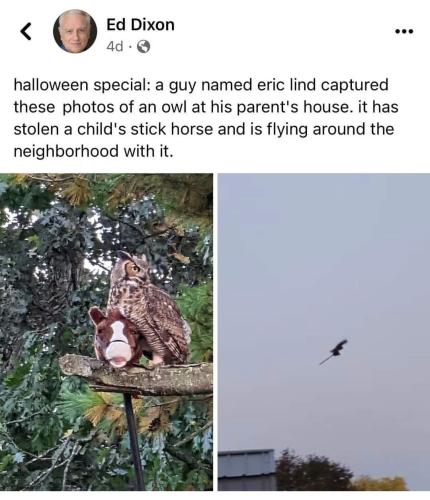 FB_IMG_1666473252275