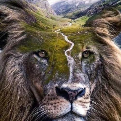 ,                                                                                                                                                                                                                          0 2