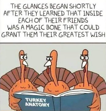 turkey anatomy