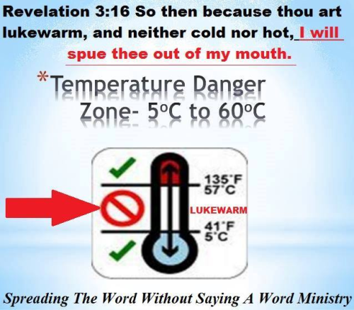 b9724d610e8994f54a661c9cdaf188d7_1024