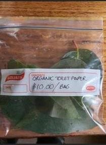 14259b8a-3245-4acf-8984-add0858b2e5b_210x288