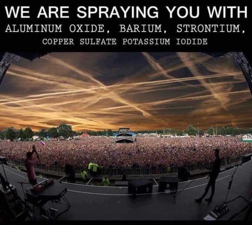 FB_IMG_1665533011224