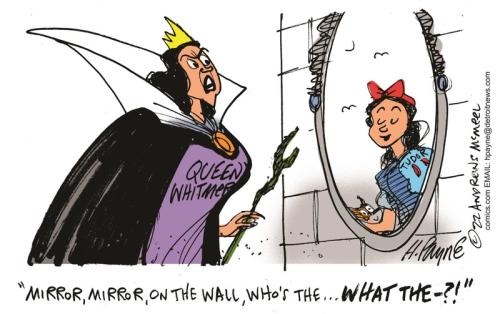 payn_c19373720221014110120-800x0