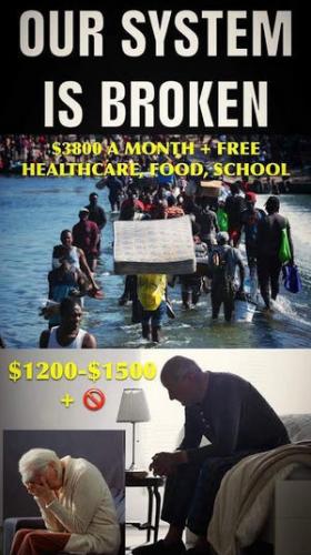 illegal immigration291