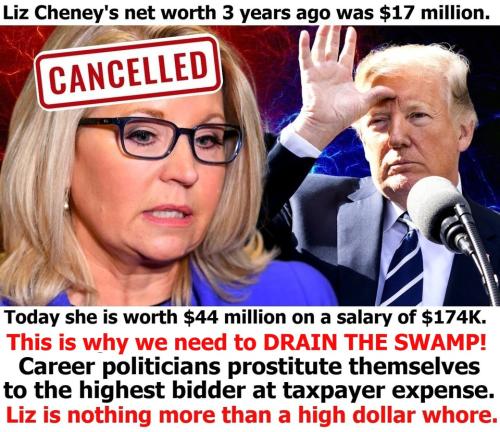 High dollar whore Liz Cheney 960px