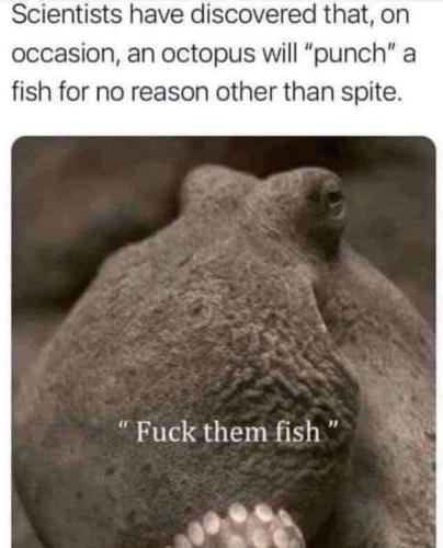 FB_IMG_1666726378931