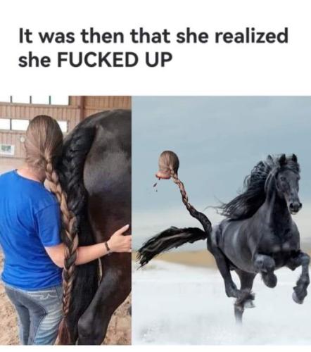 311781219_6319661054816169_1750867620774880955_n