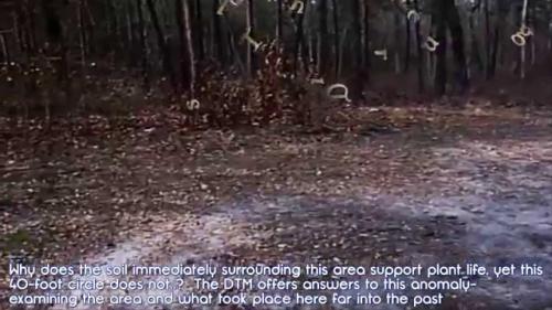 Devil’s Tramping Ground, North Carolina 2