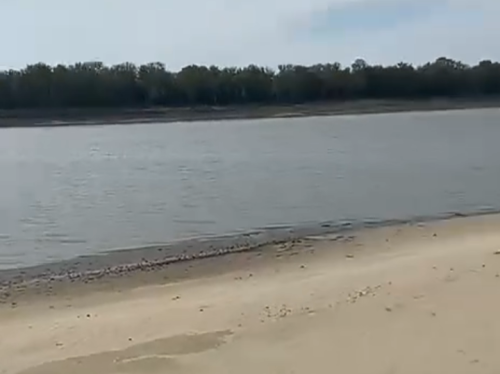 Screenshot_20221019-215954-366