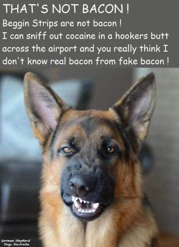FB_IMG_1666882955965