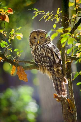 tumblr_bd25defdbbffc2aa06ebd2af3ed384ad_897f6f11_540