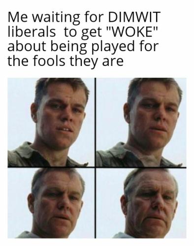 fools