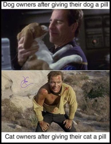 308115205_410418377906643_1229706927395041106_n