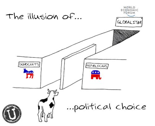 Political Choice (1)
