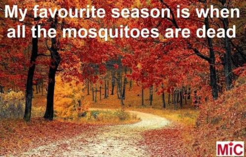 FB_IMG_1665871030134