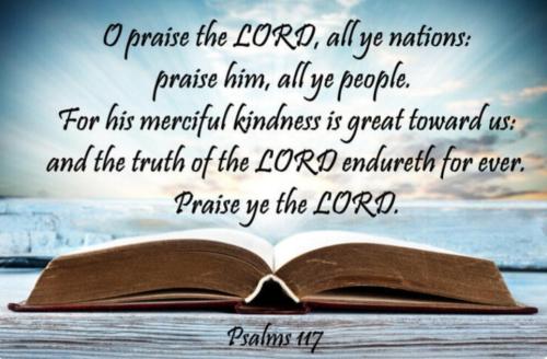 Screenshot_20221017-083654_MeWe