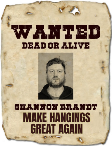 Make Hangings Great Again Shannon Brandt