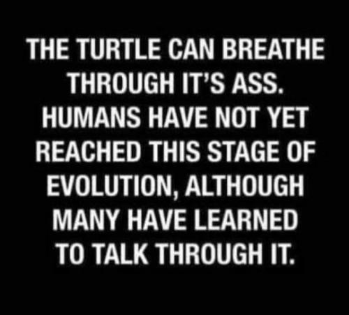 tumblr_7acd3f6cdcb7b99e96df749b975c07df_778df673_540