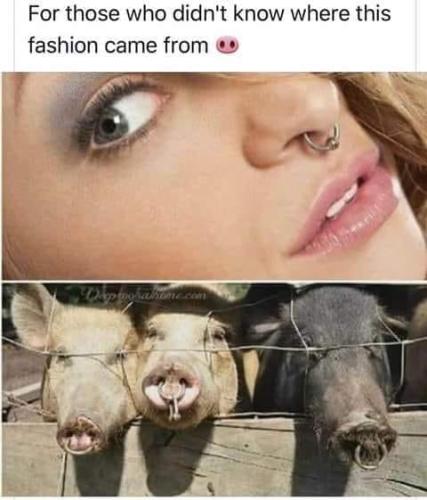 171305753_1904575793029111_8454308881403721943_n