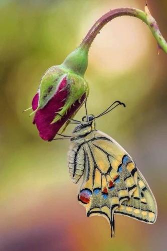 tumblr_43f6230a7999951888c05e8b6d7251a8_21123956_540