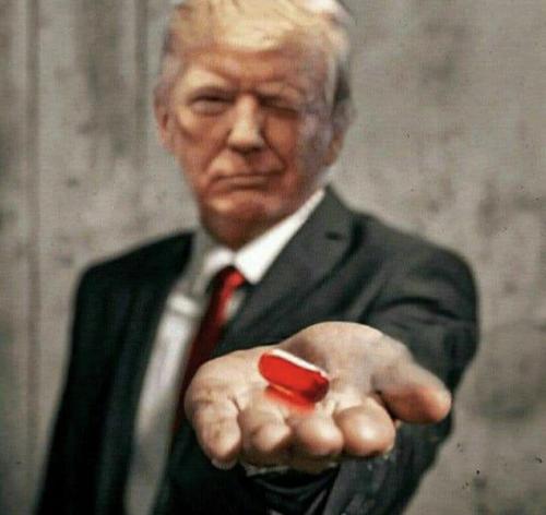 aa71f509-b432-474a-99f3-3a1c6df1a292