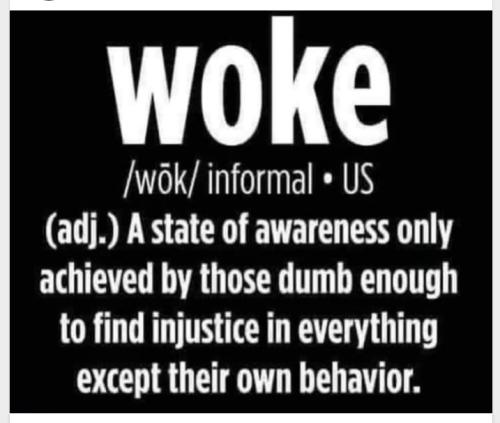 WOKE_defined