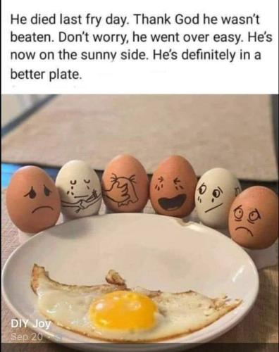 IMG_20221003_063234_688