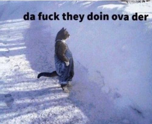 photo_2022-10-03_12-27-28