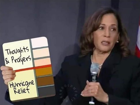 kamala harris208