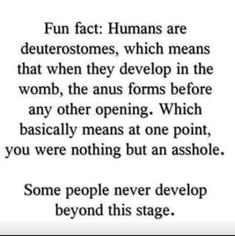 tumblr_568931962cd1172ea94a216f3111edd3_3f7e91ae_500