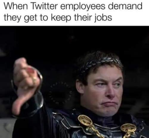 FB_IMG_1666891506142