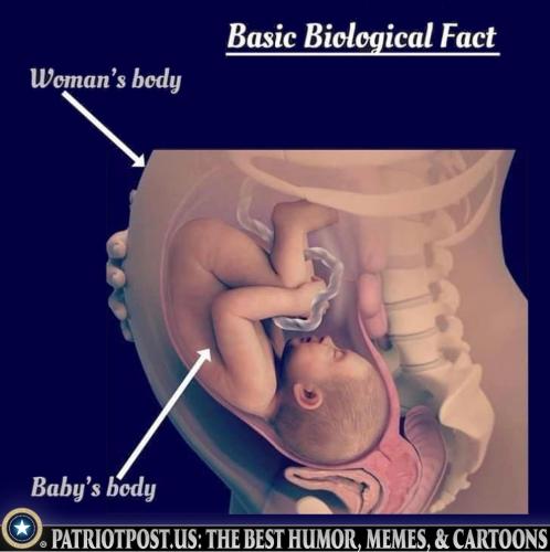 Screenshot_2022-10-24-13-33-45-15_40deb401b9ffe8e1df2f1cc5ba480b12