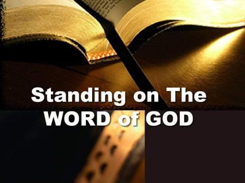 FB_IMG_1666702678524